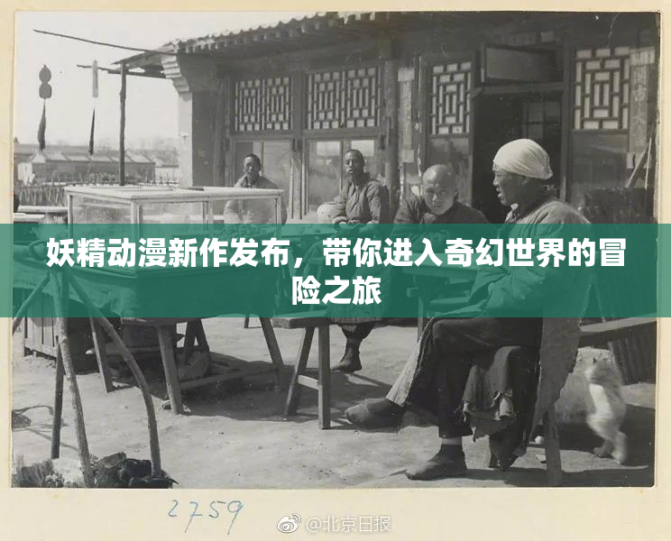 妖精动漫新作发布，带你进入奇幻世界的冒险之旅