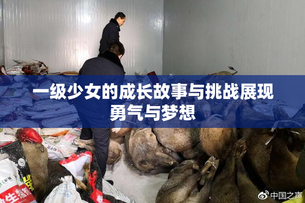 一级少女的成长故事与挑战展现勇气与梦想