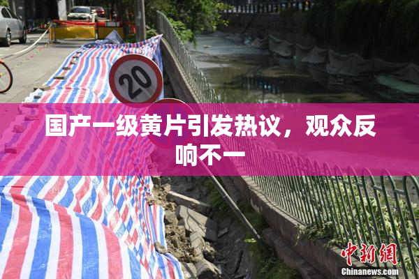 国产一级黄片引发热议，观众反响不一