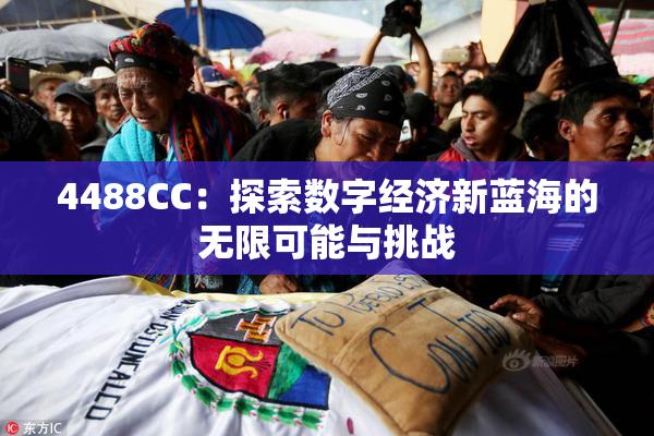 4488CC：探索数字经济新蓝海的无限可能与挑战