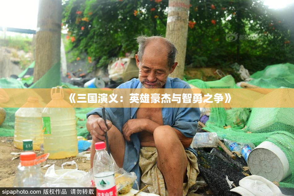 《三国演义：英雄豪杰与智勇之争》