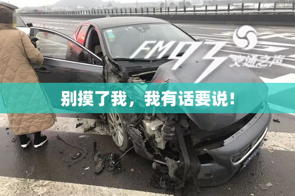 别摸了我，我有话要说！