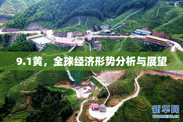 9.1黄，全球经济形势分析与展望