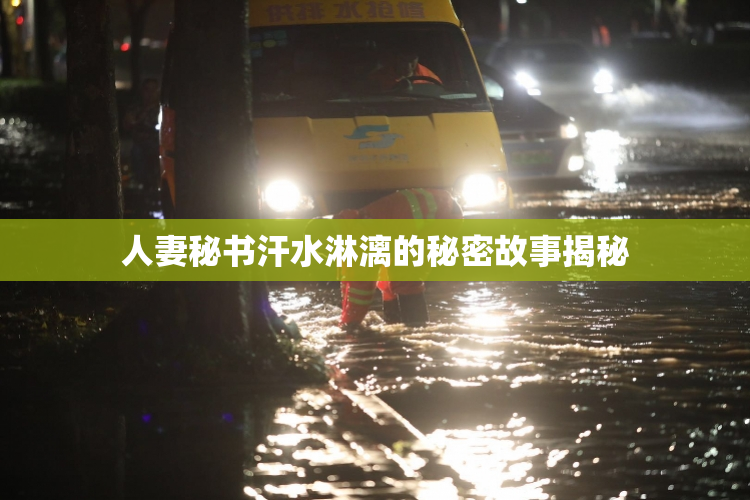 人妻秘书汗水淋漓的秘密故事揭秘