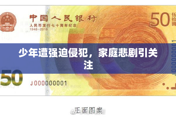 少年遭强迫侵犯,家庭悲剧引关注
