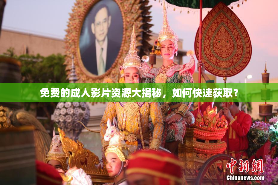 免费的成人影片资源大揭秘，如何快速获取？