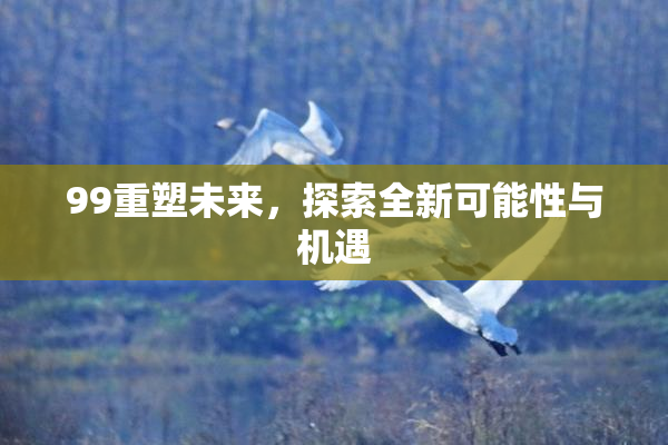 99重塑未来，探索全新可能性与机遇