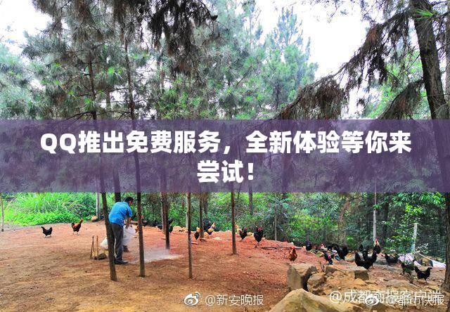 QQ推出免费服务，全新体验等你来尝试！