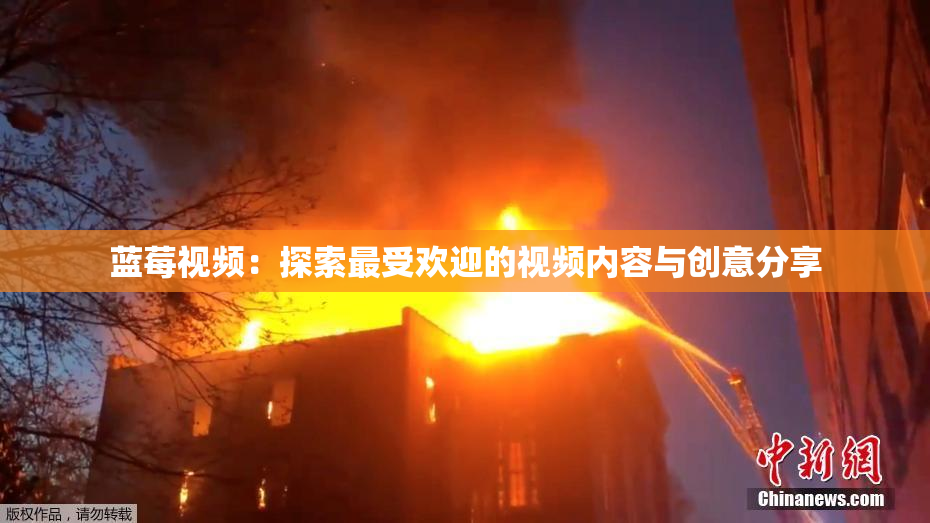 蓝莓视频：探索最受欢迎的视频内容与创意分享