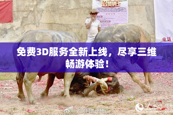免费3D服务全新上线，尽享三维畅游体验！