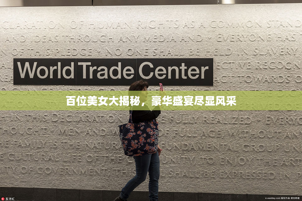 百位美女大揭秘，豪华盛宴尽显风采