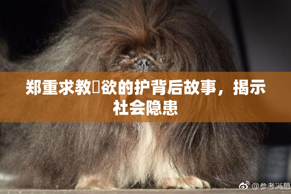 郑重求教婬欲的护背后故事，揭示社会隐患