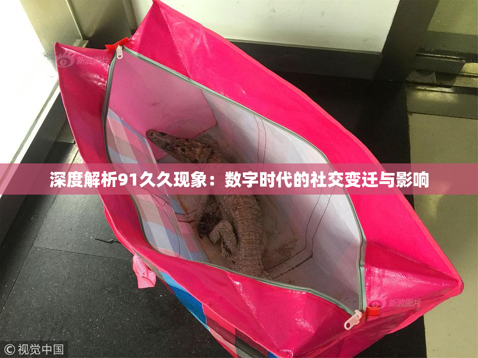 深度解析91久久现象：数字时代的社交变迁与影响