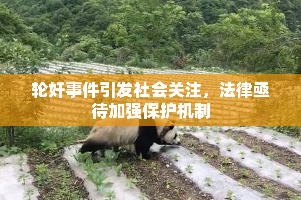 轮奸事件引发社会关注，法律亟待加强保护机制