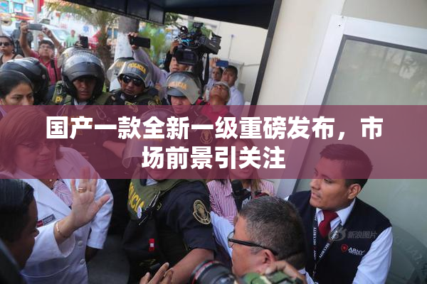 国产一款全新一级重磅发布，市场前景引关注