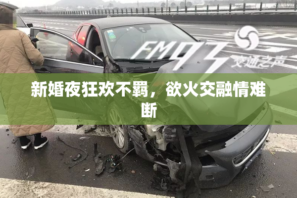 新婚夜狂欢不羁，欲火交融情难断