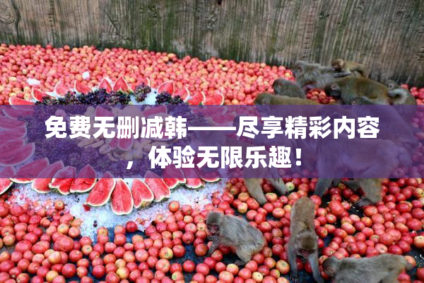 免费无删减韩——尽享精彩内容，体验无限乐趣！