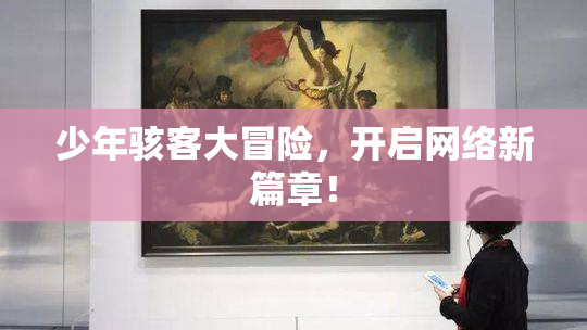 少年骇客大冒险，开启网络新篇章！