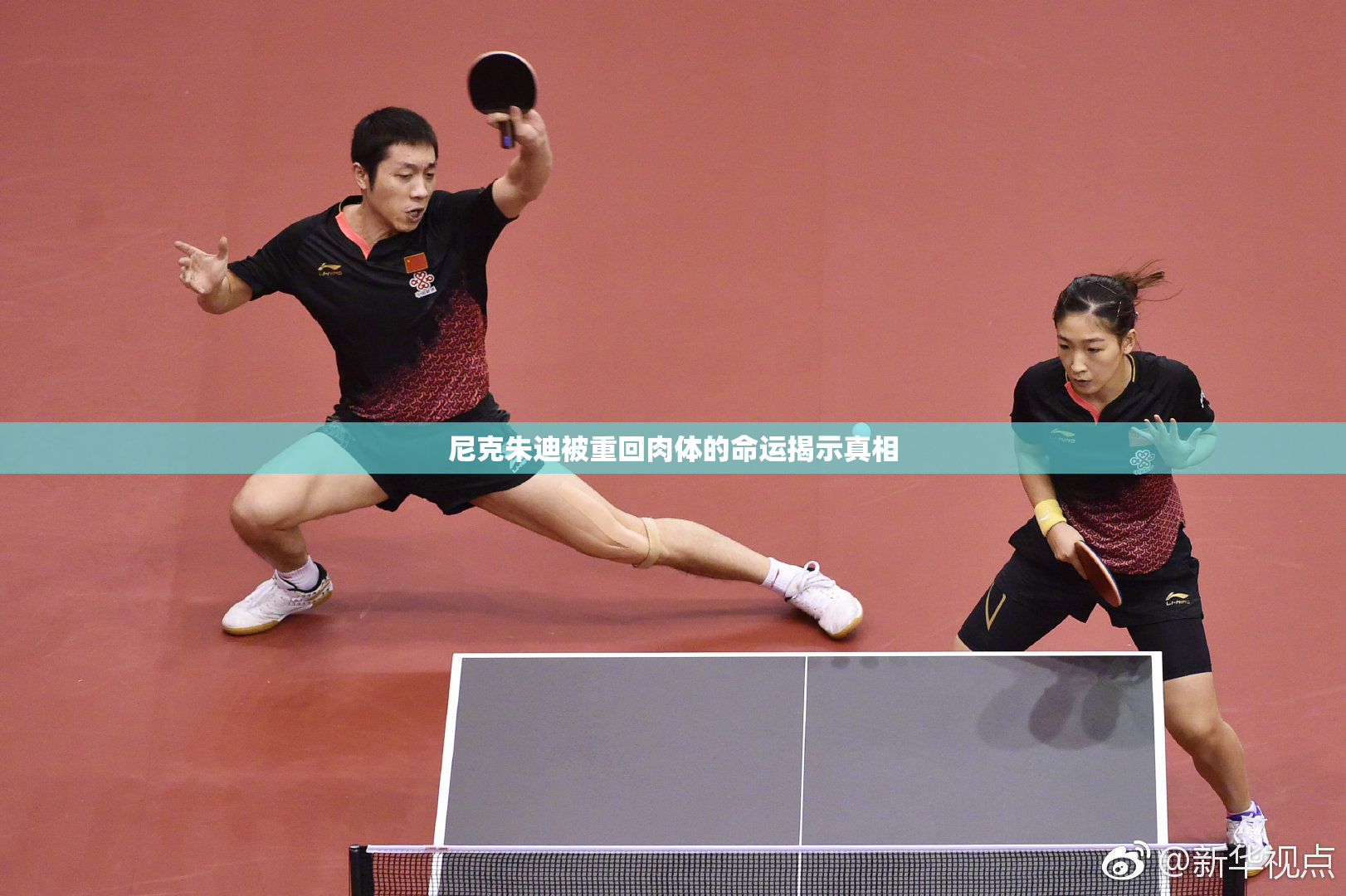 尼克朱迪被重回肉体的命运揭示真相