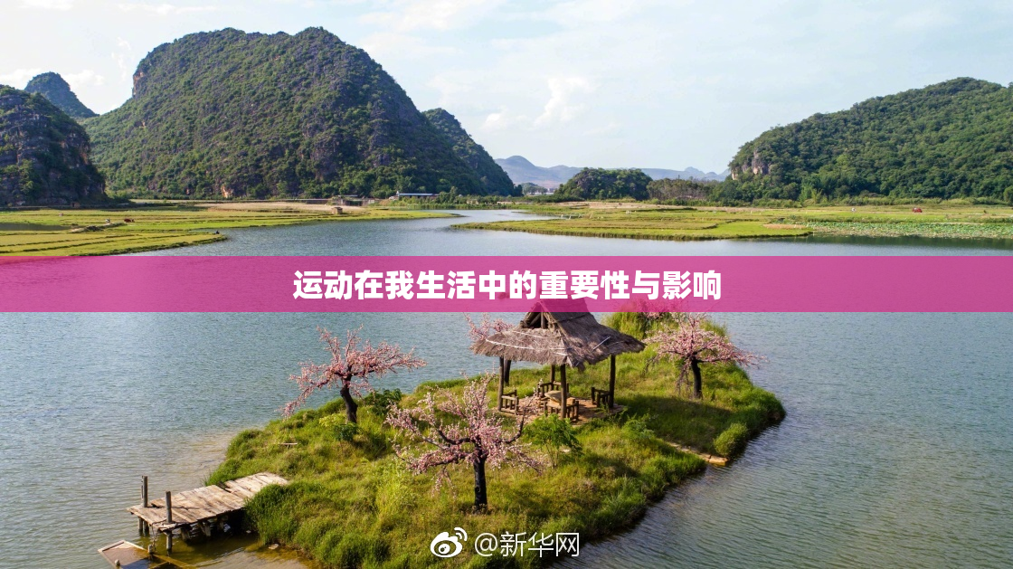运动在我生活中的重要性与影响