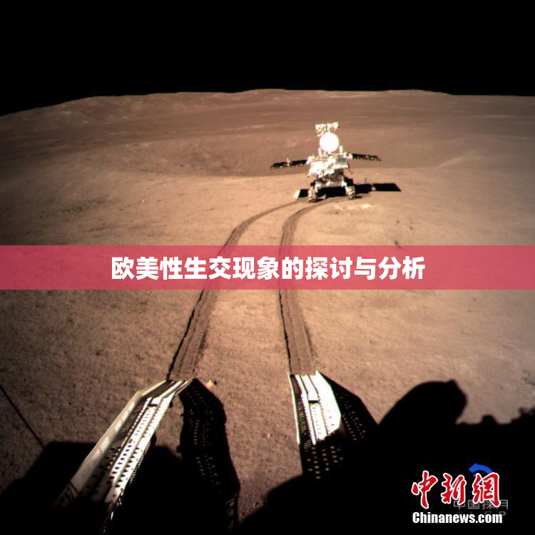 欧美性生交现象的探讨与分析