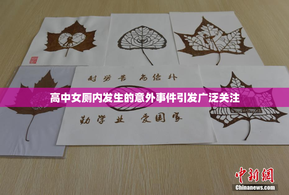 高中女厕内发生的意外事件引发广泛关注
