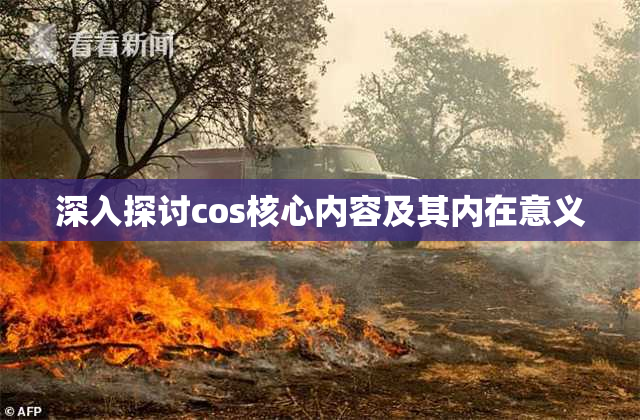 深入探讨cos核心内容及其内在意义