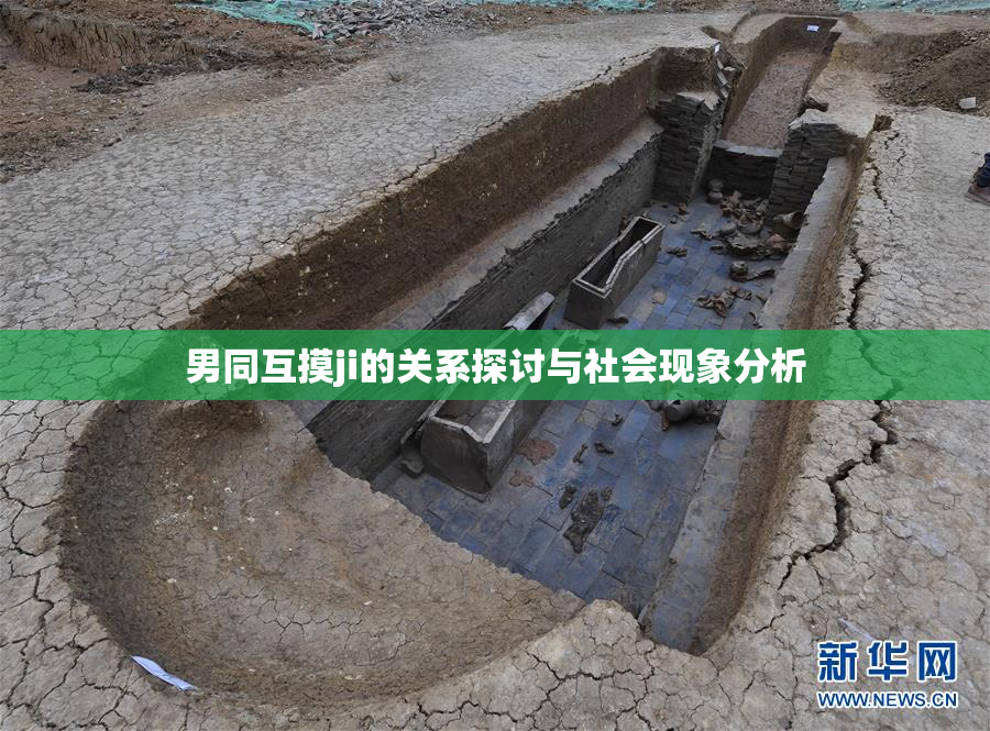 男同互摸ji的关系探讨与社会现象分析