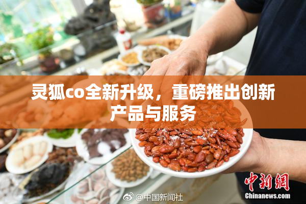 灵狐co全新升级，重磅推出创新产品与服务