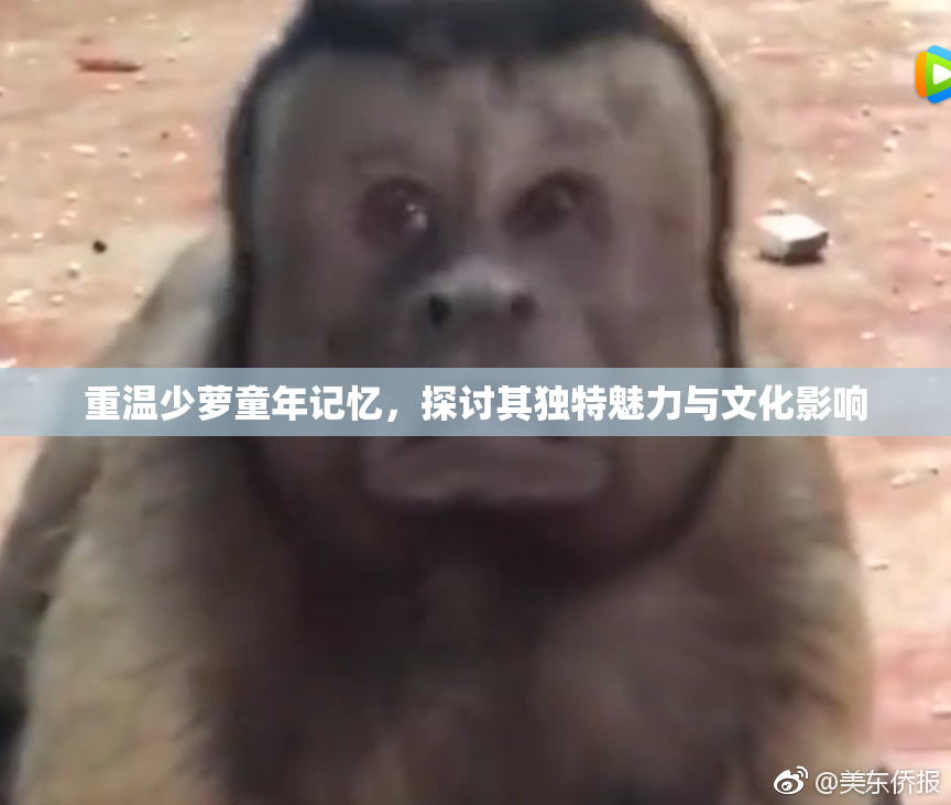 重温少萝童年记忆，探讨其独特魅力与文化影响