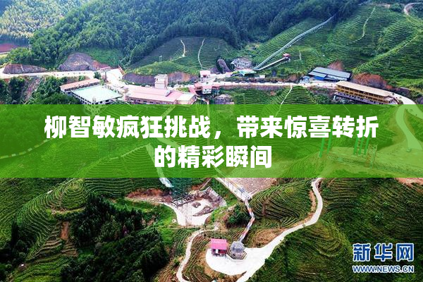 柳智敏疯狂挑战，带来惊喜转折的精彩瞬间