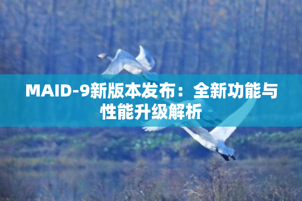 MAID-9新版本发布：全新功能与性能升级解析