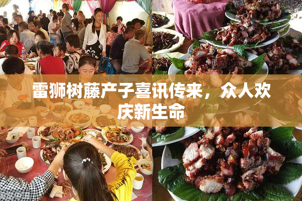 雷狮树藤产子喜讯传来，众人欢庆新生命