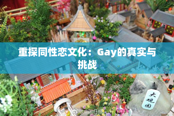 重探同性恋文化：Gay的真实与挑战