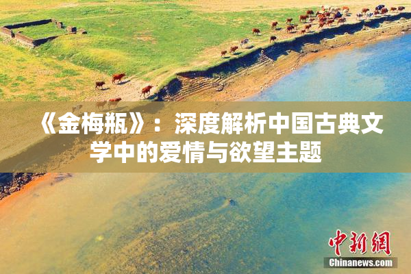 《金梅瓶》：深度解析中国古典文学中的爱情与欲望主题