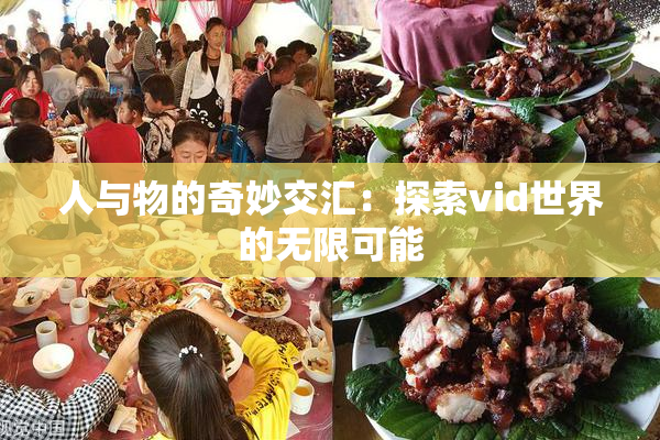人与物的奇妙交汇：探索vid世界的无限可能