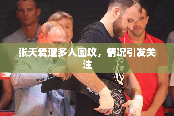 张天爱遭多人围攻，情况引发关注