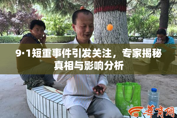9·1短重事件引发关注，专家揭秘真相与影响分析