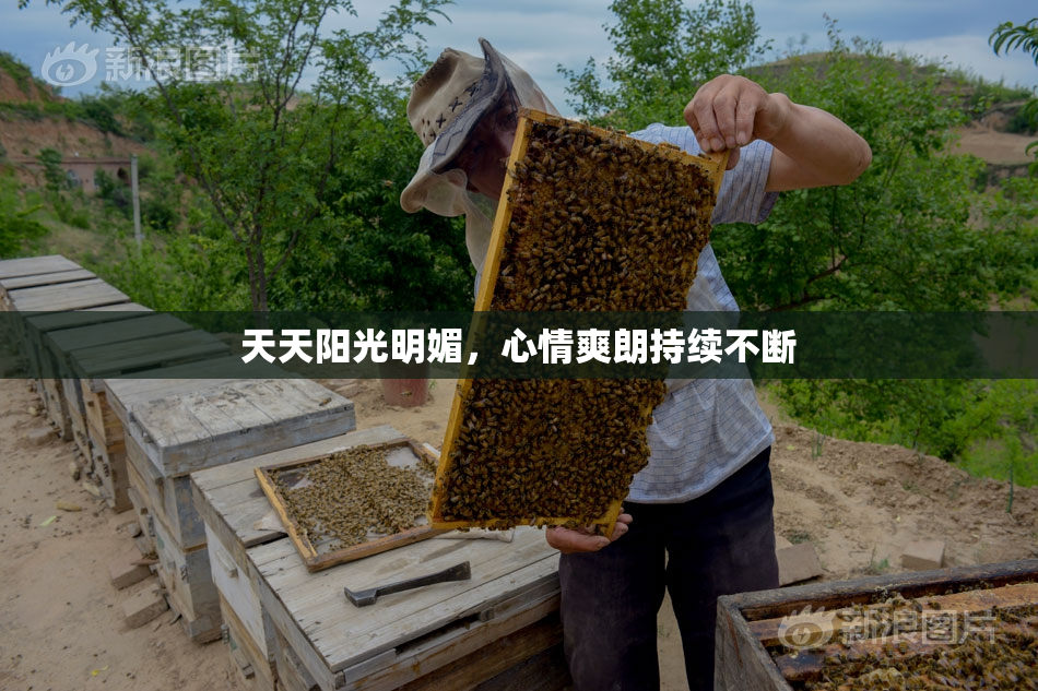 天天阳光明媚，心情爽朗持续不断