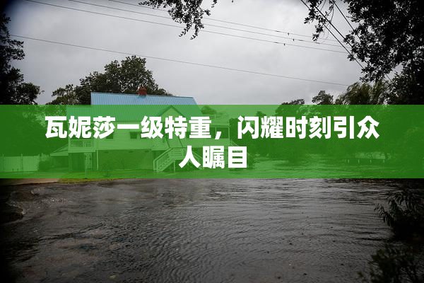 瓦妮莎一级特重，闪耀时刻引众人瞩目