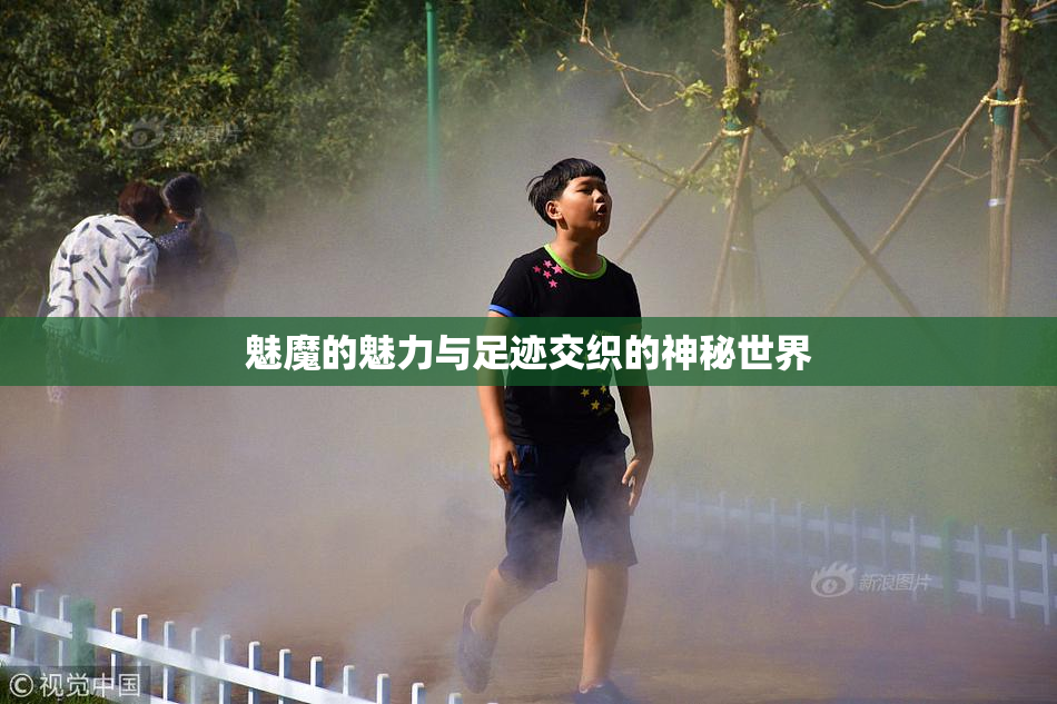 魅魔的魅力与足迹交织的神秘世界