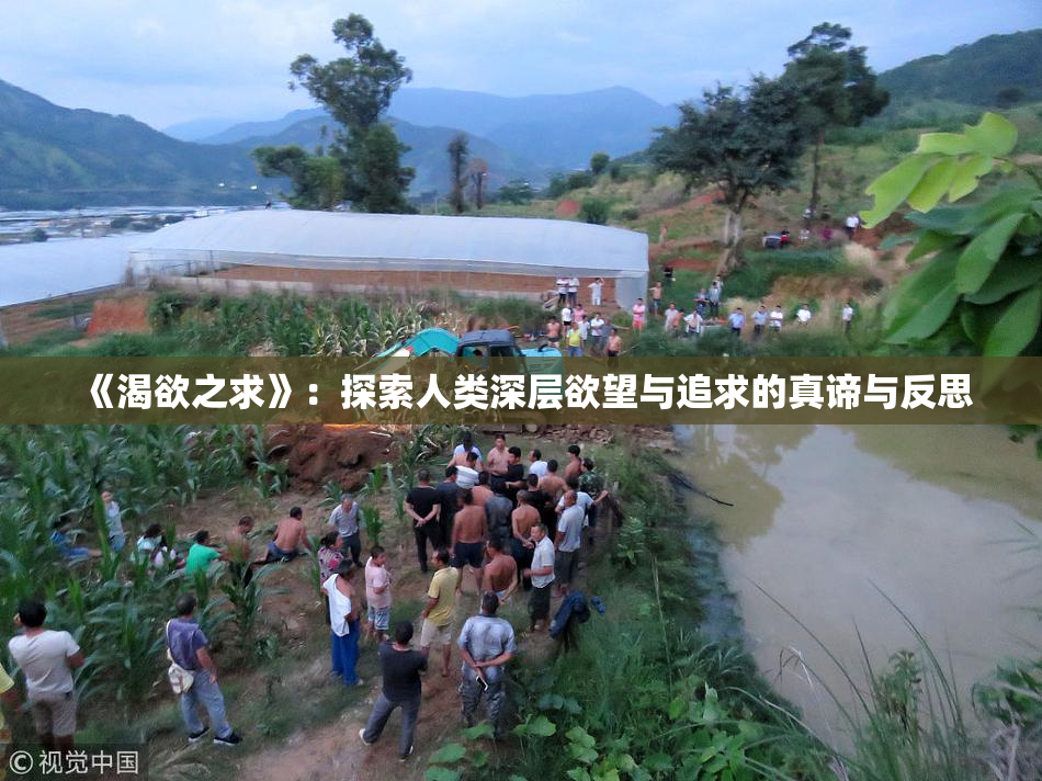 《渴欲之求》：探索人类深层欲望与追求的真谛与反思