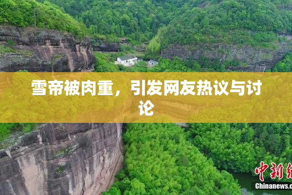雪帝被肉重，引发网友热议与讨论