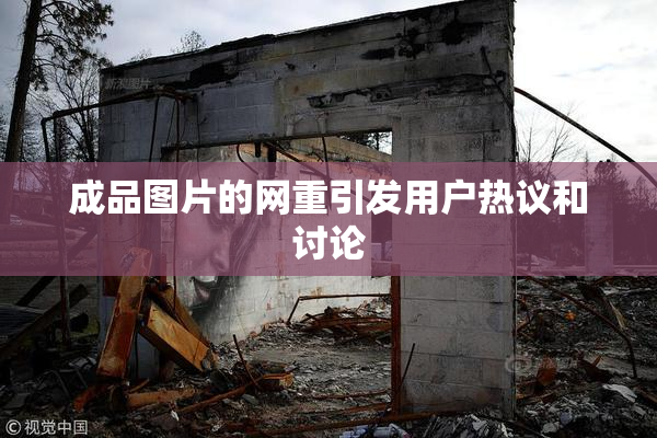 成品图片的网重引发用户热议和讨论