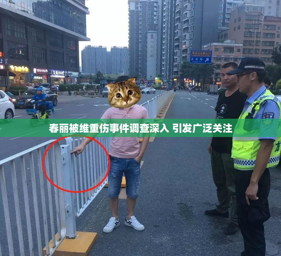 春丽被维重伤事件调查深入 引发广泛关注
