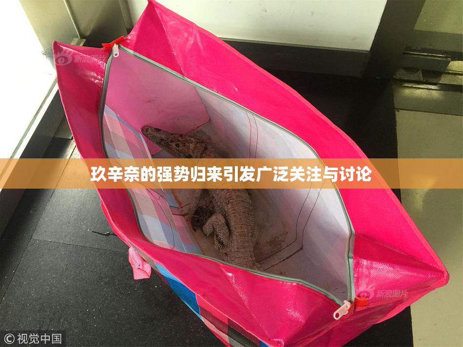 玖辛奈的强势归来引发广泛关注与讨论