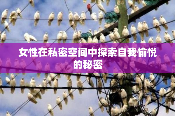 女性在私密空间中探索自我愉悦的秘密