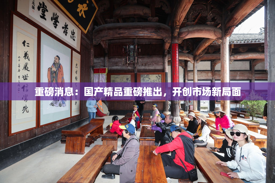 重磅消息：国产精品重磅推出，开创市场新局面