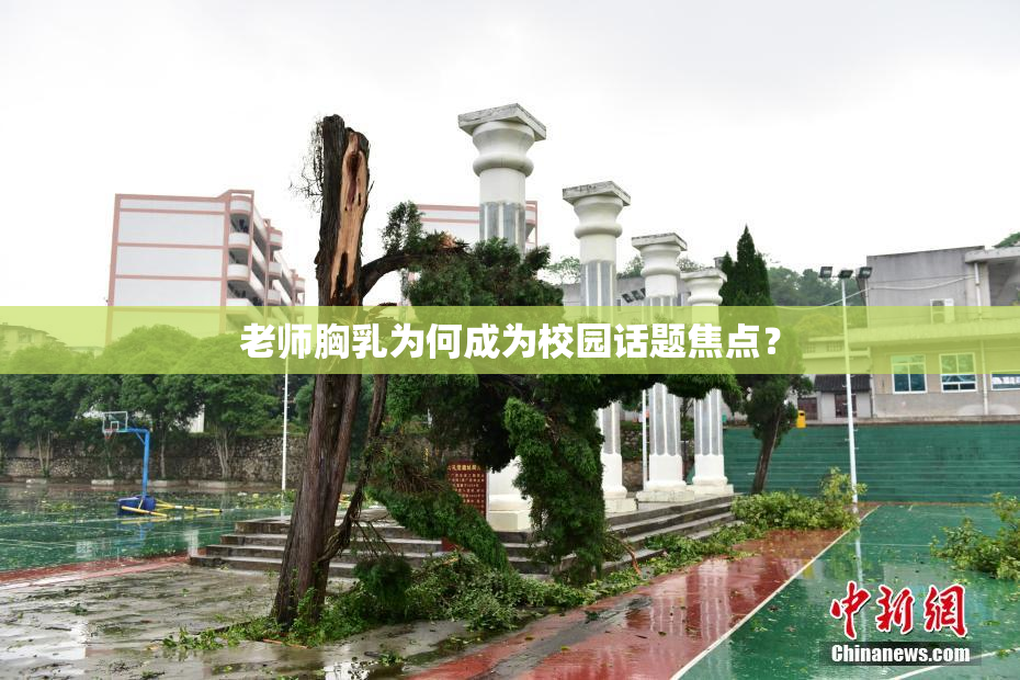 老师胸乳为何成为校园话题焦点？