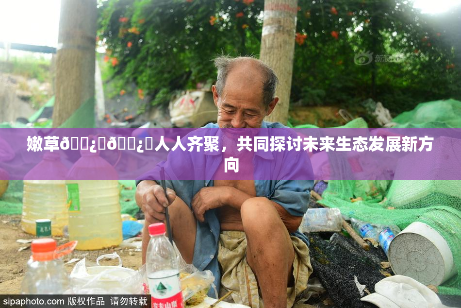 嫩草🌿‌🌿‌人人齐聚，共同探讨未来生态发展新方向
